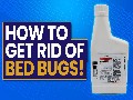 How to get rid of bed bugs ?