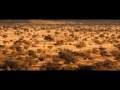 Wächter der Wüste Erdmännchen Kolo in der Kalahari Wüste