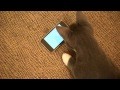 Cute Cat & iPod
