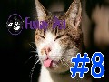 /eeae3393f0-a-funny-animal-videos-compilation-2015-8