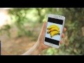 Elephant Plays with a Galaxy Note