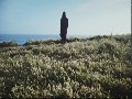 Fate Under Fire "Parachute" - Official Music Video