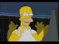 Homer and The Voting