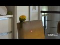 Animals Chasing Laser Pointers Compilation