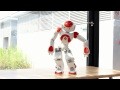 /3d3feddbfc-evolution-of-dance-by-nao-robot