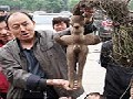 http://www.inspirefusion.com/human-bodyshaped-plant-root-found-in-china/