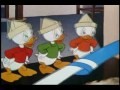 /1a7c422550-donald-duck-cartoons-vol-3