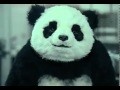 Sag niemals Nein zu Panda - Werbespot Win Video