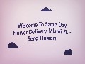 /2aa23c1260-same-day-flower-delivery-in-miami-fl-send-flowers