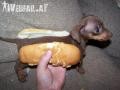 Hot Dog ;)