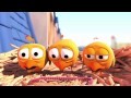 Pigeons - Cute animation cartoon