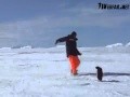 http://de.webfail.at/video/mann-gegen-pinguin-fail-video.html