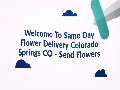 Same Day Send Flowers in Colorado Springs, CO