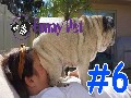 /cbea31a4a2-a-funny-animal-videos-compilation-2015-6