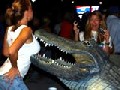/a8ce927208-danger-a-crocodile-is-biting-the-girls-boobs