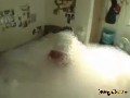 /cb09871303-bubble-bath-bedroom-prank