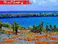 /94d935594b-the-galapagos-islands