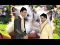 Süsse Katzen (crazy Musik Video)