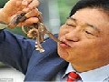 South Koreans Eating Live Octopus in Food Festival