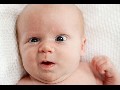 ** Baby Pupse - Compilation **