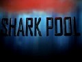/8ae3934265-shark-pool