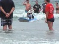 Surfing Bulldog
