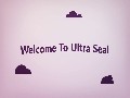 Ultra Seal : Spring Energized PTFE Seal