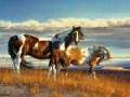 /221e1bb547-native-american-indian-spirit-horses