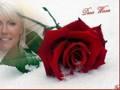 liefde is als een roos"