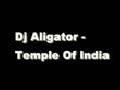 /c1dfe657f9-dj-aligator-temple-of-india