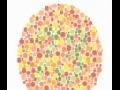 Color Blindness Test