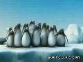 Schlaue Pinguine