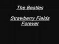 /5ec03d4aa1-strawberry-fields-forever