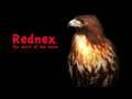Rednex - The spirit of the hawk
