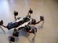 /7a7956bf63-like-hexapod-robot-kinematic