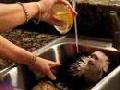 Monkey Lui taking a bath