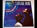 /d373b7462e-culture-beat-world-in-your-hands