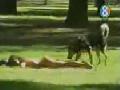 Dog Prank in Park