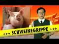 /9fd823f7b4-schweinegrippe