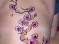 /a64e127b8f-cherry-blossom-tattoos