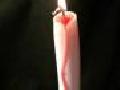 /c6e5591366-bleeding-candle