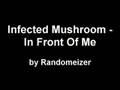 /9e1215b0f2-infected-mushroom-in-front-of-me