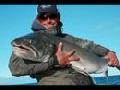 /b5d398abff-monster-fish-of-the-far-north-part-2