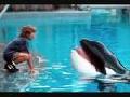 /0888ac12cc-free-willy-musik-by-michael-jackson