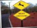 Funny Road Signs