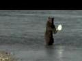 /beb1e1f980-fishing-for-bears