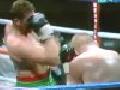 Boxer Hits Himself