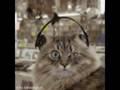 /eb7f37b093-singing-cats