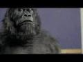 /dd97965e34-word-up-gorilla