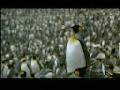 /f27847e7e3-penguins-world
